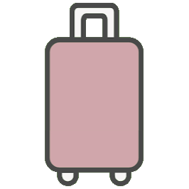 airplane checked luggage